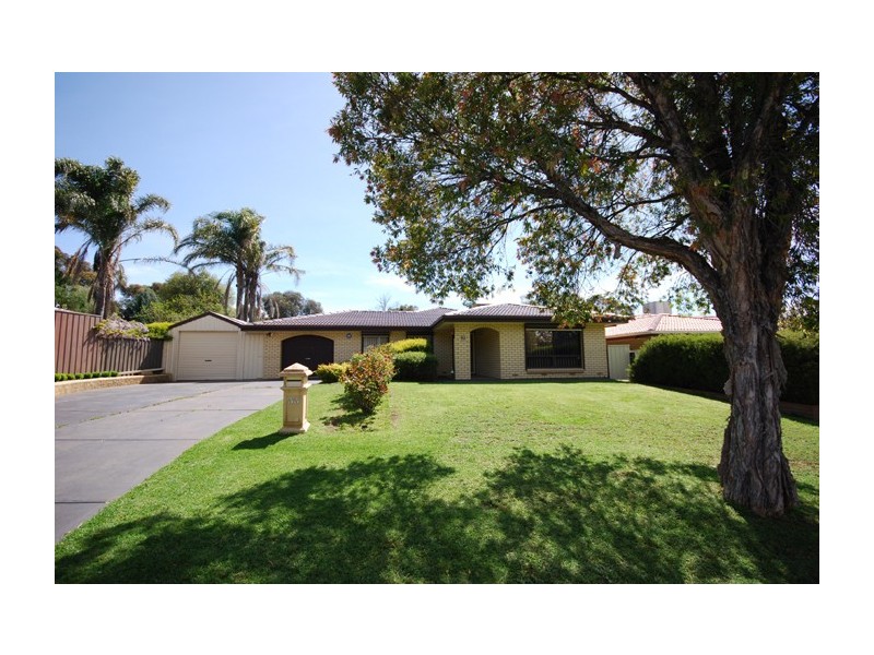 33 Cockatoo Street, Modbury Heights SA 5092