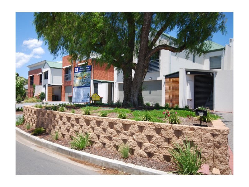58 Grasswren Way, Mawson Lakes SA 5095