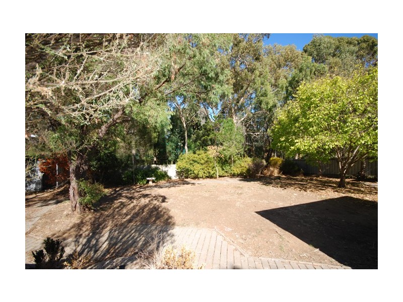 16 School Drive, Banksia Park SA 5091