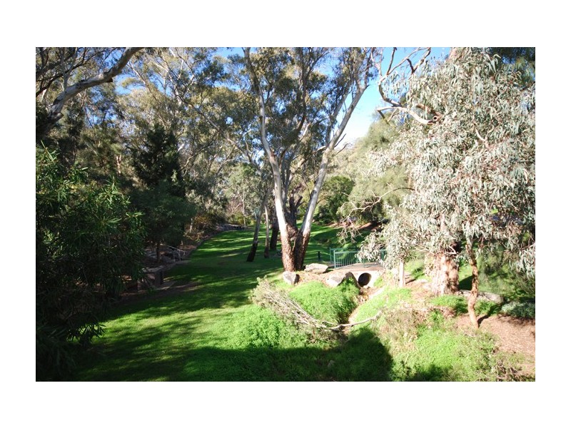 Lot 302,  Ellis Street, Tea Tree Gully SA 5091