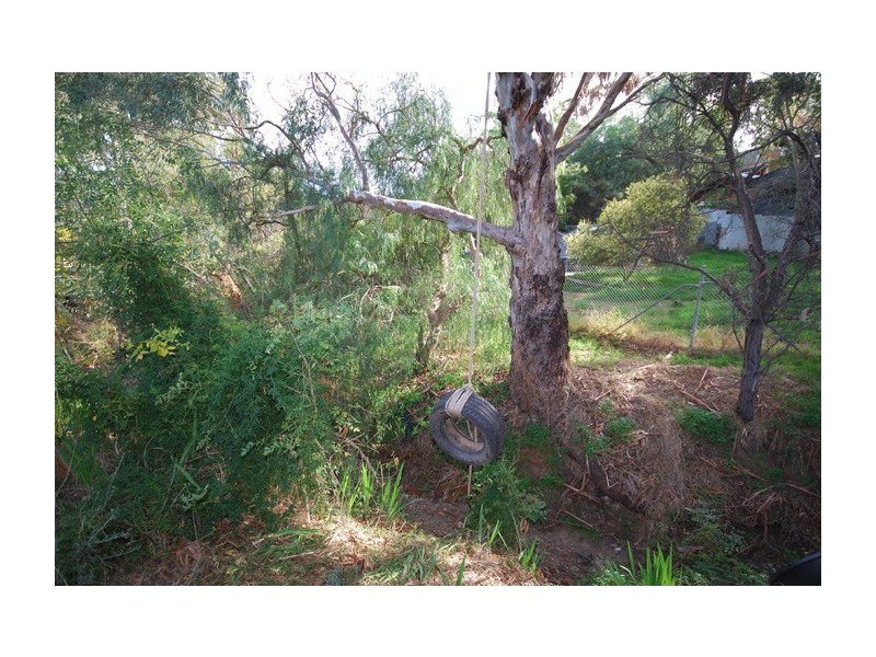 36 Carnarvon Avenue, Redwood Park SA 5097