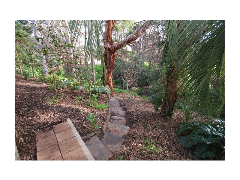 3/24 Kennedy Street, St Agnes SA 5097