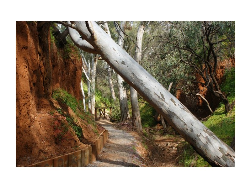 2 Surrey Close, Salisbury East SA 5109