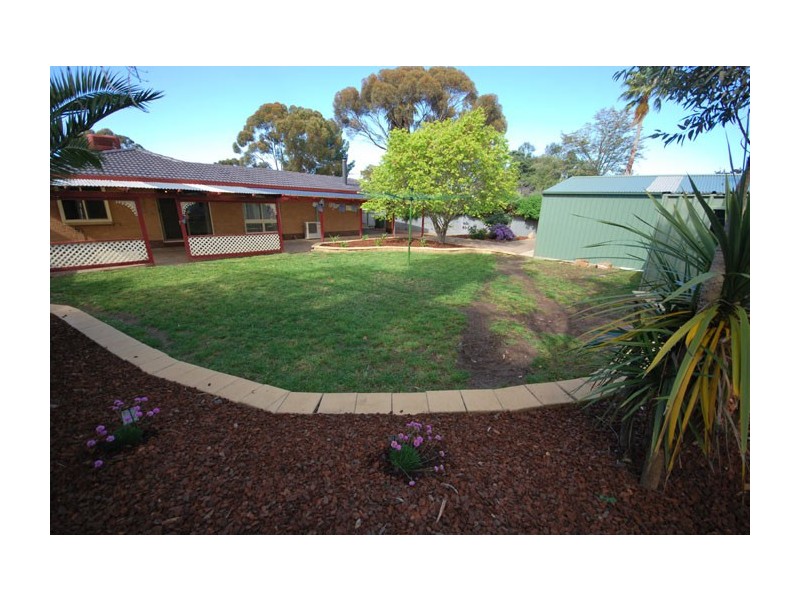 8 Vulcan Avenue, Modbury Heights SA 5092