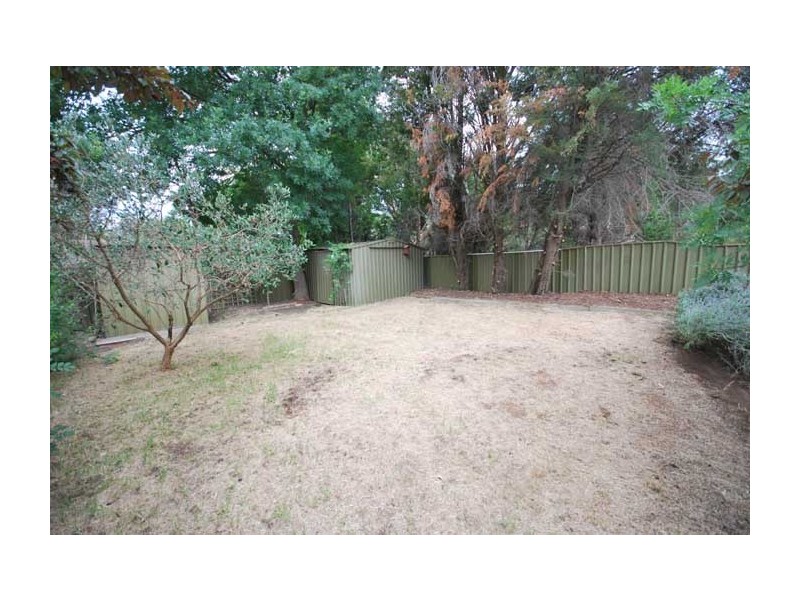 23 Mintanta Drive, Banksia Park SA 5091