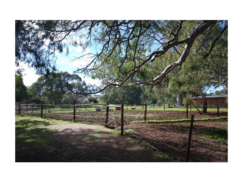 37 Park Lake Drive, Wynn Vale SA 5127