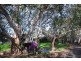 37 Park Lake Drive, Wynn Vale SA 5127