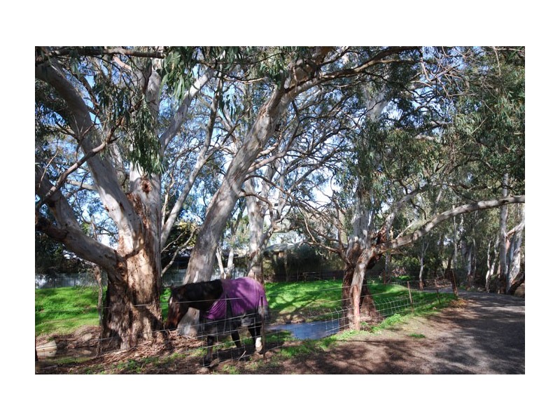 37 Park Lake Drive, Wynn Vale SA 5127