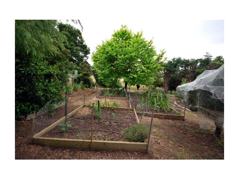 Lot 10 Murray Road, Paracombe SA 5132