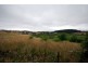 Lot 10 Murray Road, Paracombe SA 5132