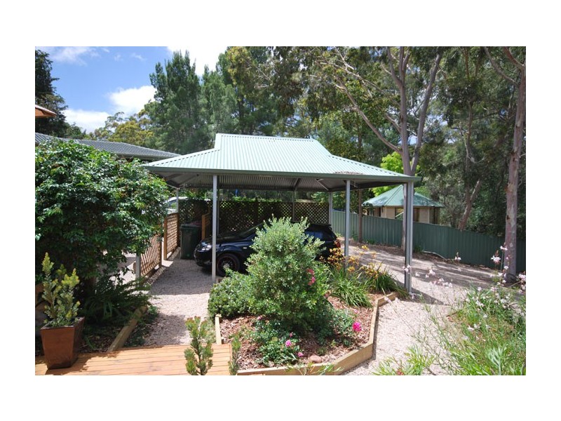 12 Treetop Street, Tea Tree Gully SA 5091