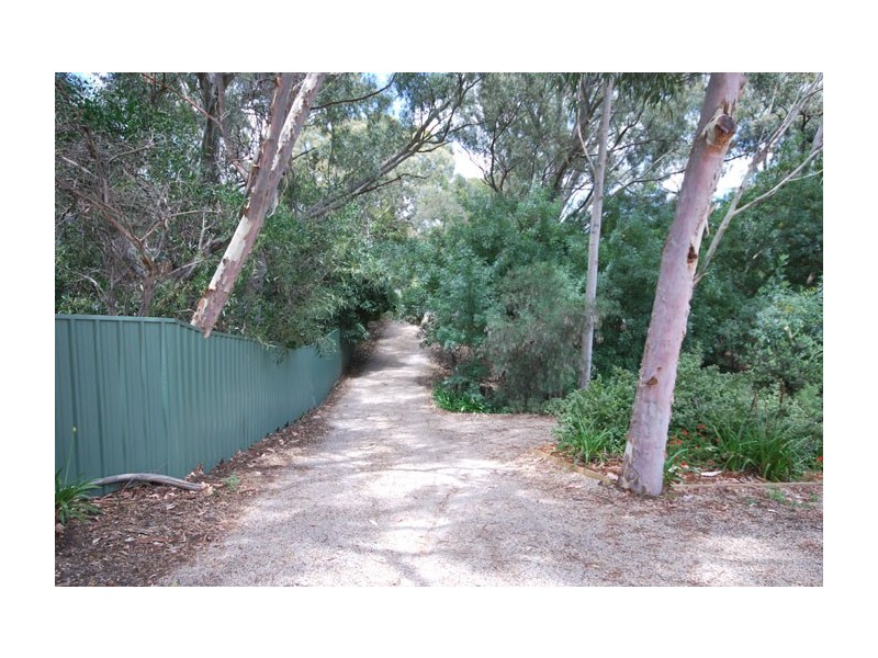 12 Treetop Street, Tea Tree Gully SA 5091