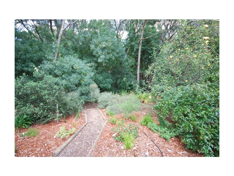 12 Treetop Street, Tea Tree Gully SA 5091