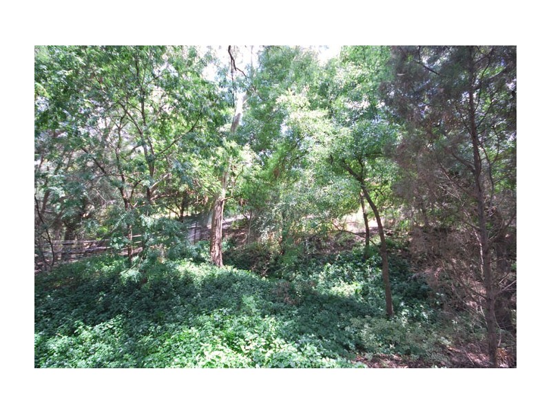 12 Treetop Street, Tea Tree Gully SA 5091