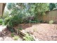 12 Treetop Street, Tea Tree Gully SA 5091
