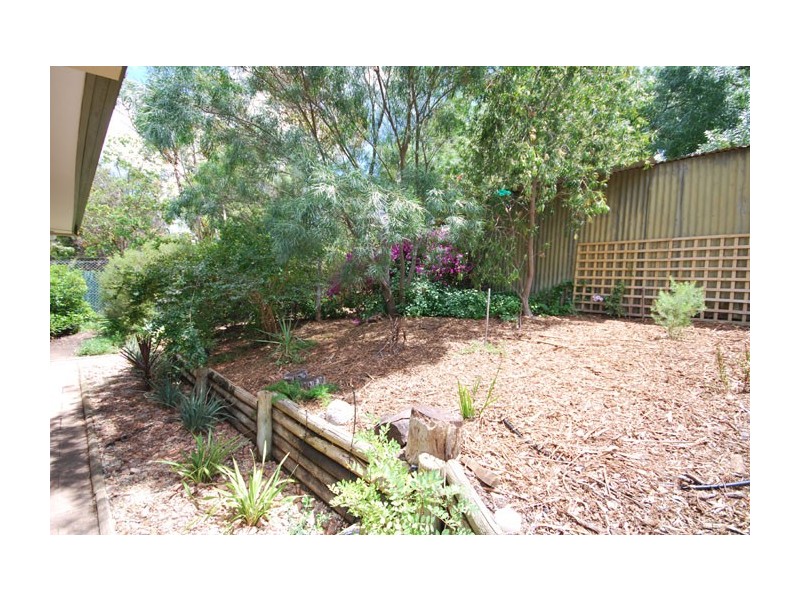 12 Treetop Street, Tea Tree Gully SA 5091