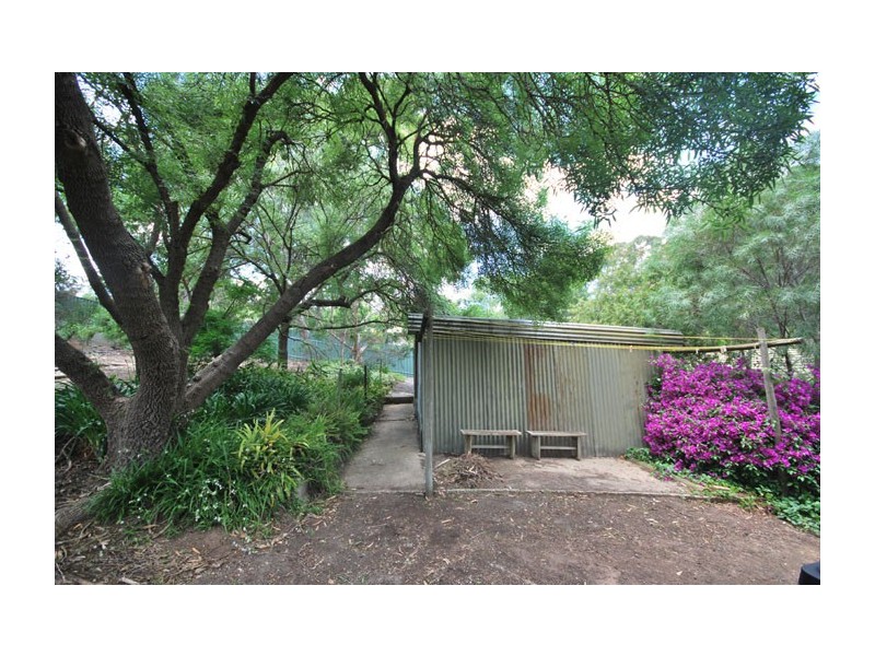 12 Treetop Street, Tea Tree Gully SA 5091