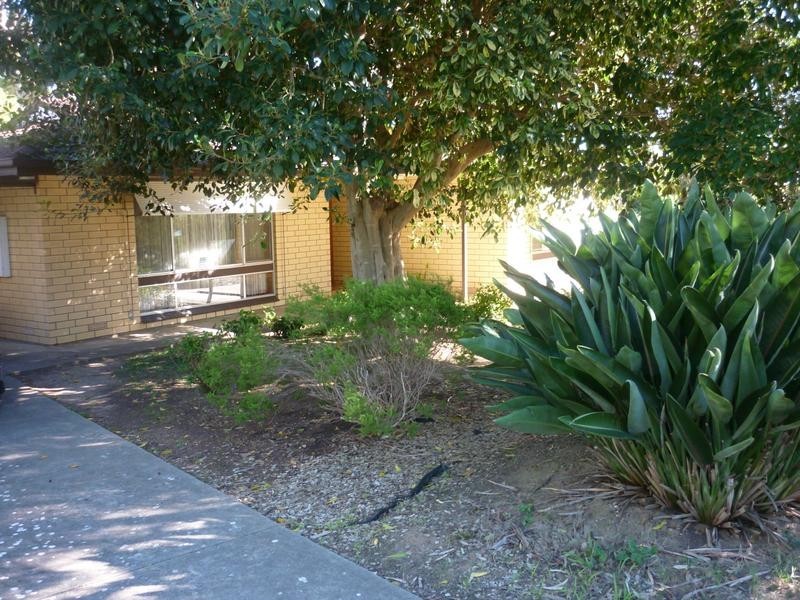 10 Dalaston Street, Modbury SA 5092