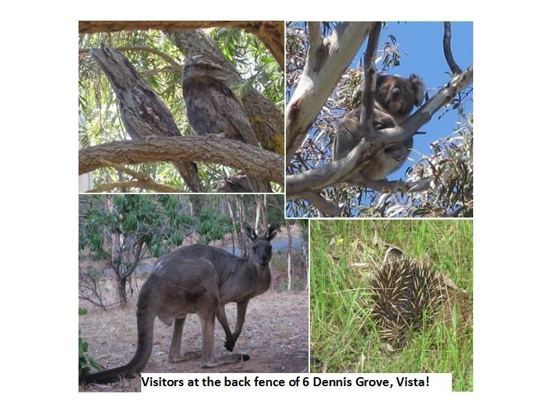 6 Dennis Grove, Vista SA 5091