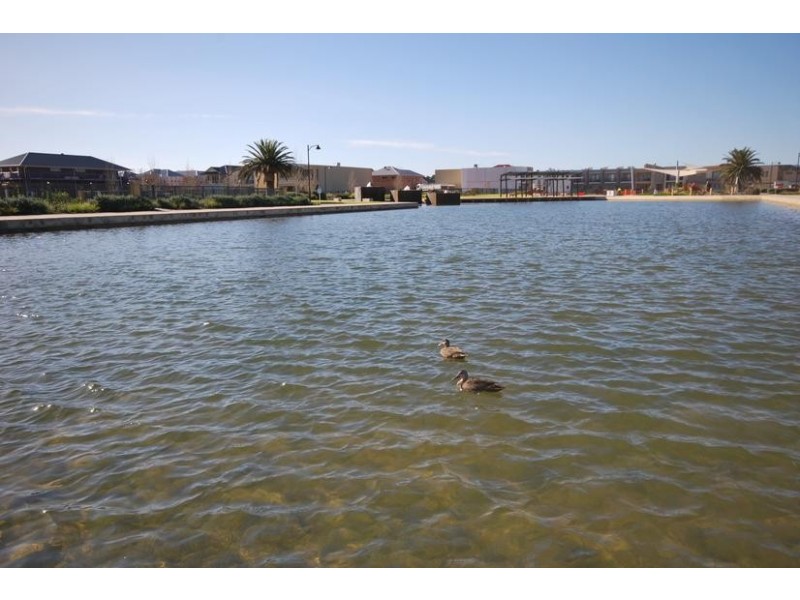 36 Victoria Parade, Mawson Lakes SA 5095