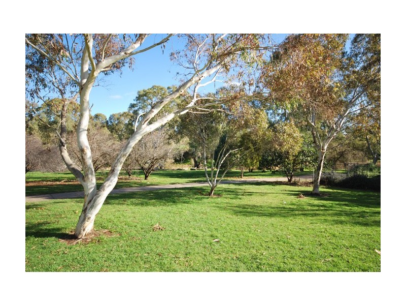 21 Beurre Court, Highbury SA 5089