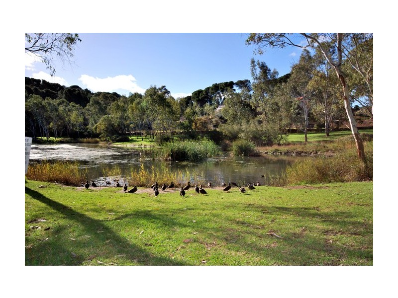 21 Beurre Court, Highbury SA 5089