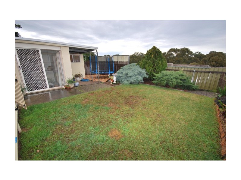 31 Edinburgh Road, Modbury SA 5092