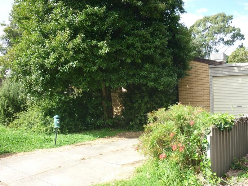 55 Cassia Avenue, Surrey Downs SA 5126