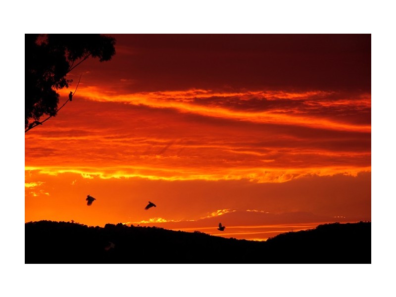 8 Chauvel Court, Highbury SA 5089