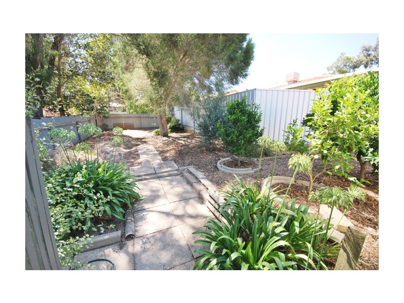 2 Wendy Court, Highbury SA 5089