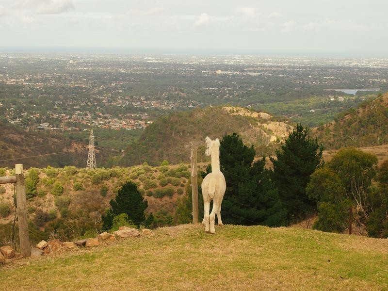 206 Churchett Road, Paracombe SA 5132