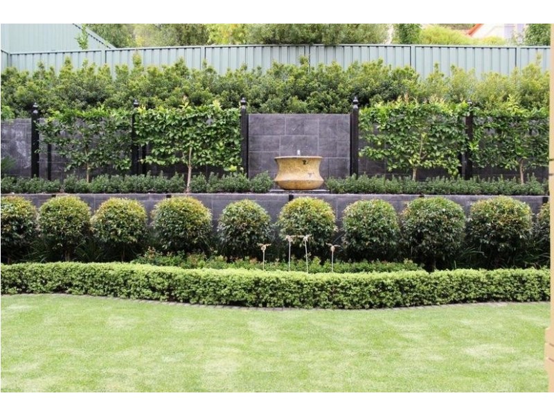 5 Walker Place, Highbury SA 5089