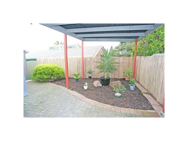 Noya Avenue, Modbury Heights SA 5092