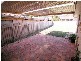 11 Britten Avenue, Modbury SA 5092