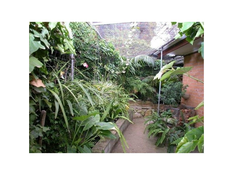 7 Davenport Street, Banksia Park SA 5091