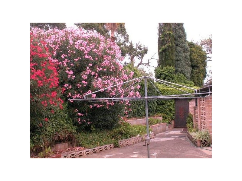 7 Davenport Street, Banksia Park SA 5091