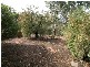 61 Valley View Drive, Highbury SA 5089