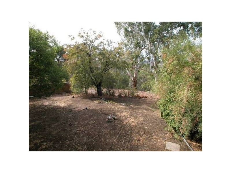 61 Valley View Drive, Highbury SA 5089