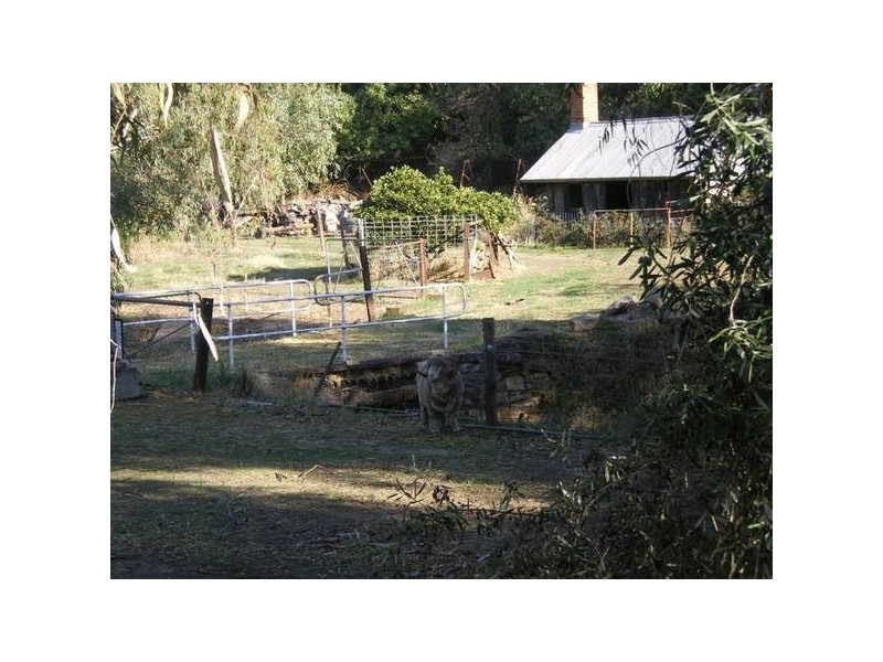 8 Brunswick Terrace, Wynn Vale SA 5127