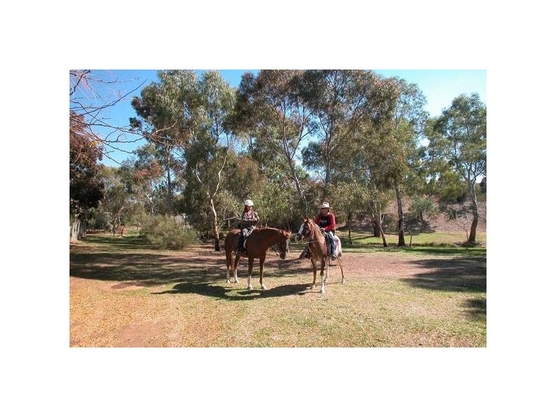 8 Brunswick Terrace, Wynn Vale SA 5127