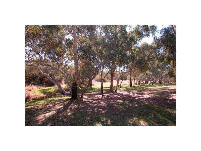 8 Brunswick Terrace, Wynn Vale SA 5127