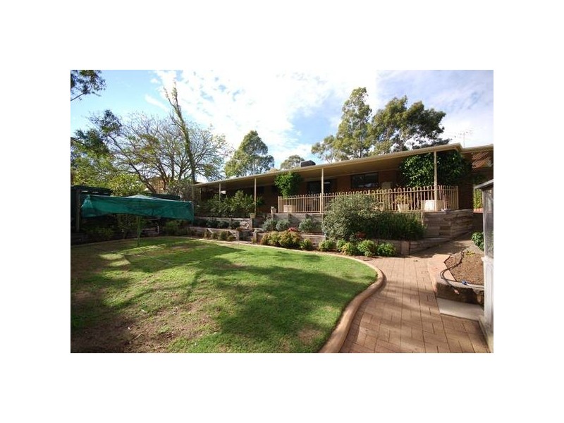 26 Waitara Road, Banksia Park SA 5091