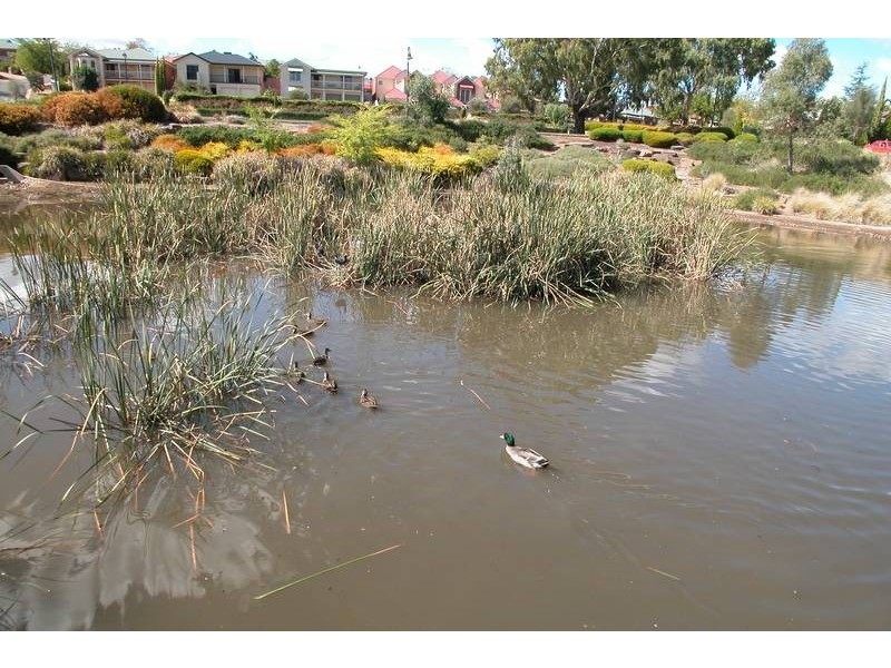 6 Dowton Place, Greenwith SA 5125