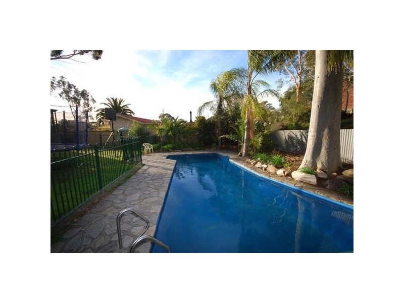 213 Hancock Road, Banksia Park SA 5091