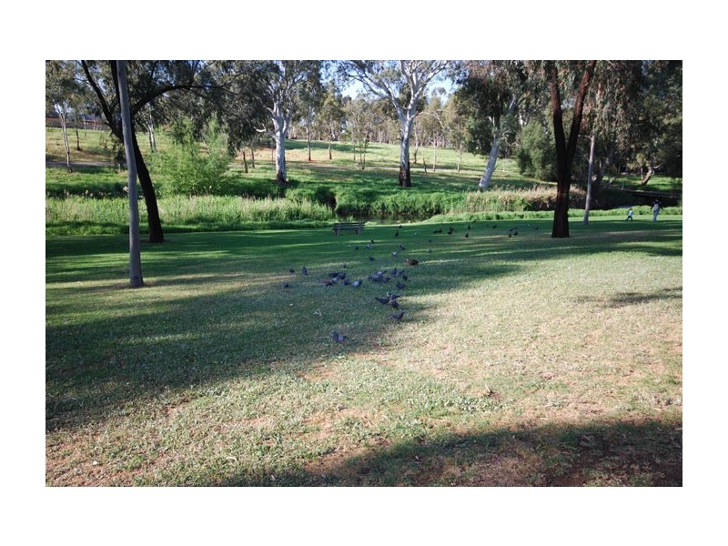 Lot 701,47 Reece Avenue, Klemzig SA 5087