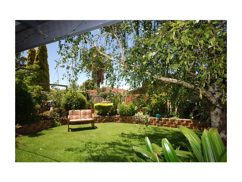 3 Chasselas Avenue, Wynn Vale SA 5127