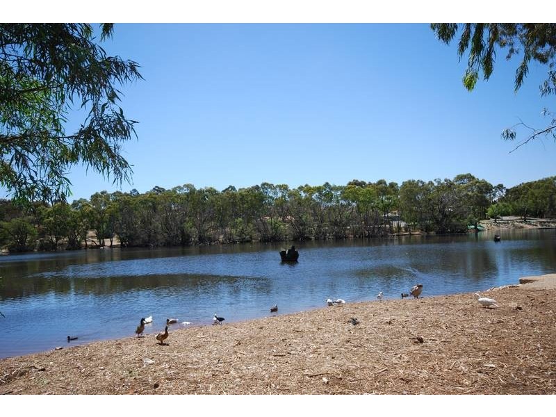 3 Chasselas Avenue, Wynn Vale SA 5127