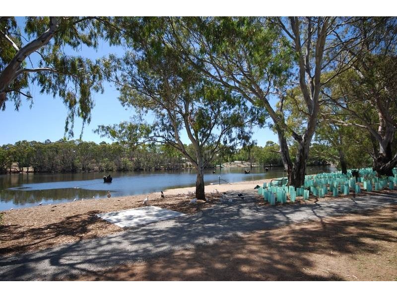 3 Chasselas Avenue, Wynn Vale SA 5127