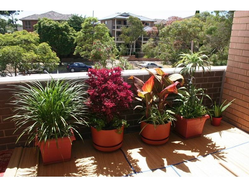 2/39 Queen Victoria Street, Bexley NSW 2207