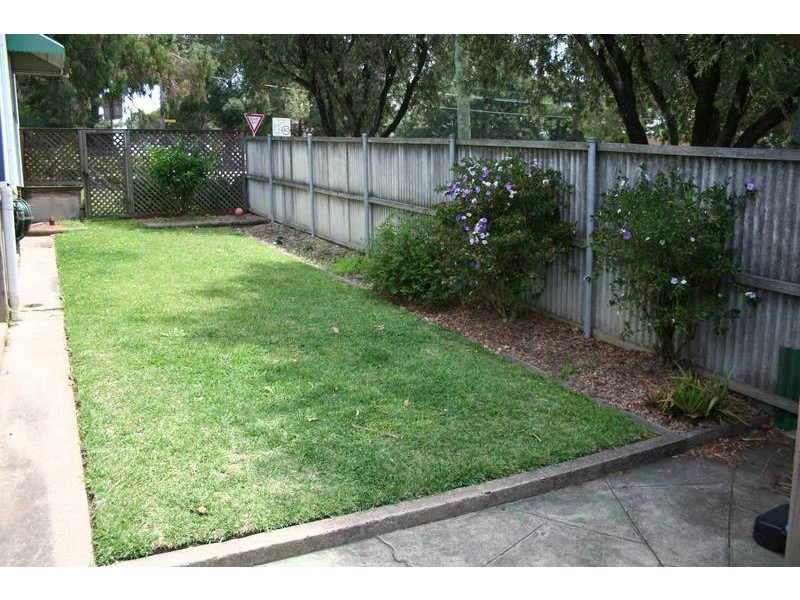 46 Percival Street, Bexley NSW 2207